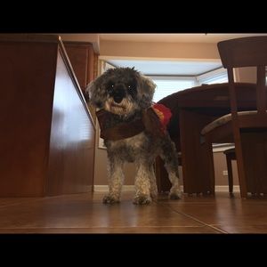 Meet your Posher, Nicholas